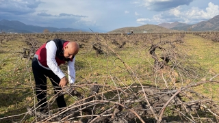Bakan Kirişci, Hatay’da bağ budaması yapan çiftçilerle bir araya geldi: