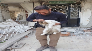 HAYDİ ekipleri, Hatay’da mahsur kalan hayvanları sahiplerine ulaştırıyor