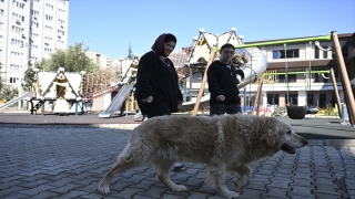 Özel çocuklar deprem travmasını özel eğitimli köpek ”Max” ile atlatmaya çalışıyor