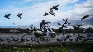 Depremlerin vurduğu İskenderun’daki kuşlar ”Hasan amca”ya emanet