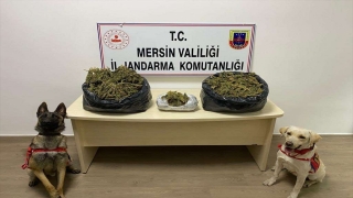 Mersin’de 21 kilo 610 gram esrar ele geçirildi