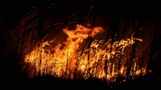Mersin’deki Göksu Deltası’nda yangın