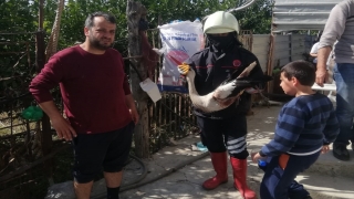 Hatay’da yaralı leylek tedavi altına alındı