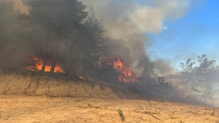 Antalya’da çıkan yangında 3 dekar ormanlık alan zarar gördü