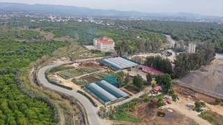 ”Çocuk serası”nda yetişen ürünler depremzedelere aş oluyor