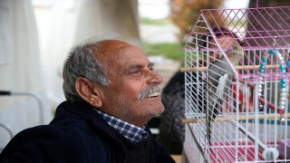 Depremzede aileler, çadır kentte muhabbet kuşu ve papağanla ilgilenerek vakit geçiriyor