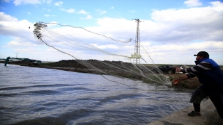 Deprem stresinden uzaklaşmak için tuttukları balıkları afetzedelerle paylaşıyorlar