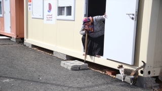 Depremden 36 gün sonra bulduğu ”Mia” adlı kedisine konteyner kentte bakıyor