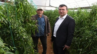 Serik Kaymakamı Şahin, ilçedeki üreticilerle bir araya geldi