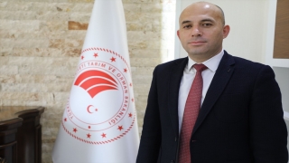 Antalya’da yasa dışı avlanan balıkçılar İHA’larla denetleniyor