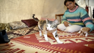 Depremzede aile enkazda doğum yapan ”Zeyna” ve yavrularını yanlarından ayırmıyor