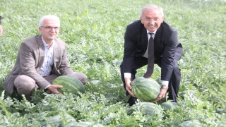 Serik Belediyesi hasadını gerçekleştirdiği ürünlerle engelli aracı alacak