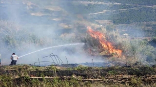 Hatay’da zeytinlikte başlayıp buğday tarlasına sıçrayan yangın söndürüldü