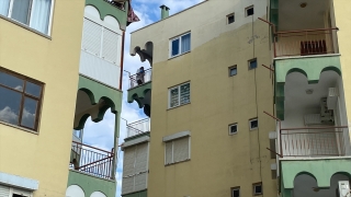 Antalya’da karısını bıçaklayarak öldüren kişi gözaltına alındı