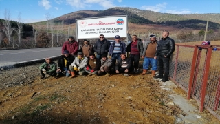 Aksu’da karaleke hastalığına dayanıklı elma bahçesi oluşturuldu