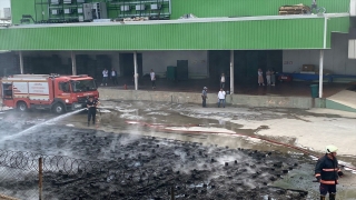Mersin’de narenciye paketleme tesisinde çıkan yangın söndürüldü