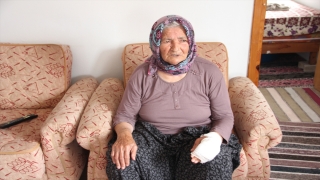 Mersin’de sahipsiz köpeğin saldırdığı yaşlı kadın elinden yaralandı