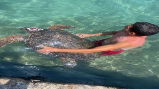 Alanya’da deniz kıyısında yaralı bulunan caretta caretta tedavi ediliyor