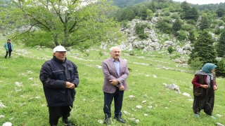 Kahramanmaraş’ta yıldırımın isabet ettiği 13 keçi telef oldu