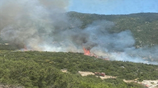 Kaş’ta çıkan orman yangını kontrol altına alındı