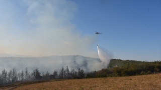 Adana'daki orman yangını söndürüldü