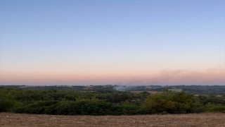 Adana'daki orman yangını kontrol altına alındı