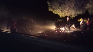 Mersin’de çıkan orman yangını kontrol altına alındı