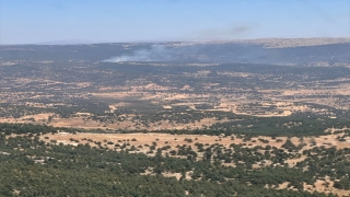 Adana’da çıkan orman yangınına müdahale ediliyor