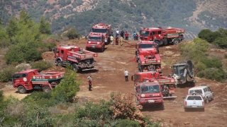 Hatay’da çıkan orman yangını kontrol altına alındı