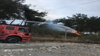 Hatay’da ağaçlık alanda çıkan yangın söndürüldü