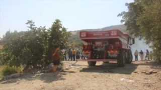 Hatay’da çıkan orman yangını kontrol altına alındı
