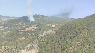 Adana’da çıkan orman yangını kontrol altına alındı