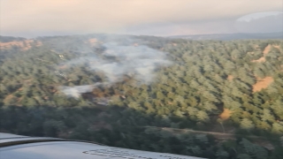 Osmaniye’de çıkan orman yangınına müdahale ediliyor