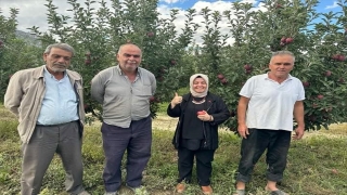 Elmalı’da elma hasadı başladı