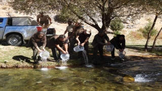 Kahramanmaraş’ta 5 bin kırmızı benekli alabalık yavrusu Terbüzek Çayı’na bırakıldı