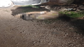 Hatay’da kayıp olarak aranan kadının öldürüldüğü belirlendi