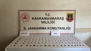 Kahramanmaraş’ta Roma dönemine ait olduğu değerlendirilen sikke ve objeler ele geçirildi