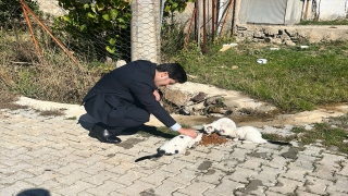 Aksu’da ”Sokak Hayvanlarına Duyarlılık Projesi”