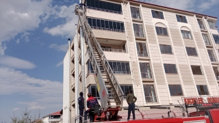 Kahramanmaraş’ta ağır hasarlı binada mahsur kalan kediyi jandarma kurtardı