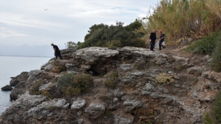 Antalya’da kayalıklarda kadın cesedi bulundu