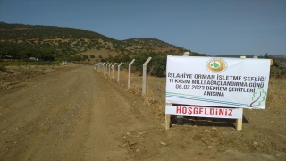 Gaziantep’te depremde hayatını kaybedenler için fidan dikildi