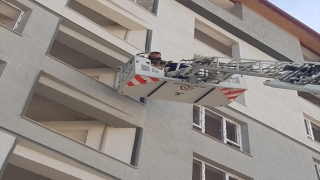 Hatay’da ağır hasarlı binada mahsur kalan köpeği itfaiyeciler kurtardı