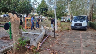 Kozan’da şiddetli rüzgar nedeniyle devrilen ağaçlar kaldırıldı