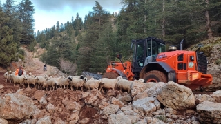 Adana’da yağış nedeniyle yaylada mahsur kalan 11 çoban ve hayvanları kurtarıldı