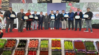 Kumluca’da hal sezonu açıldı