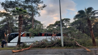 Antalya’da servis otobüsünün üstüne ağaç devrildi 7 kişi yaralandı