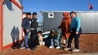 Köpek yavrusu ”Kırağ”, konteyner kentteki çocukların maskotu oldu