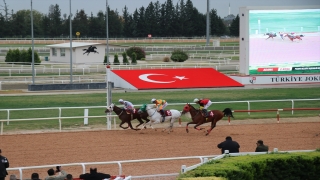 Atlar Adana'da belediye koşusunda yarıştı