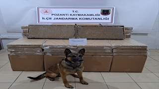 Adana’da yolcu otobüsünde 300 bin dolu makaron ele geçirildi