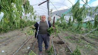 Hatay’da hortum seralarda hasara neden oldu
